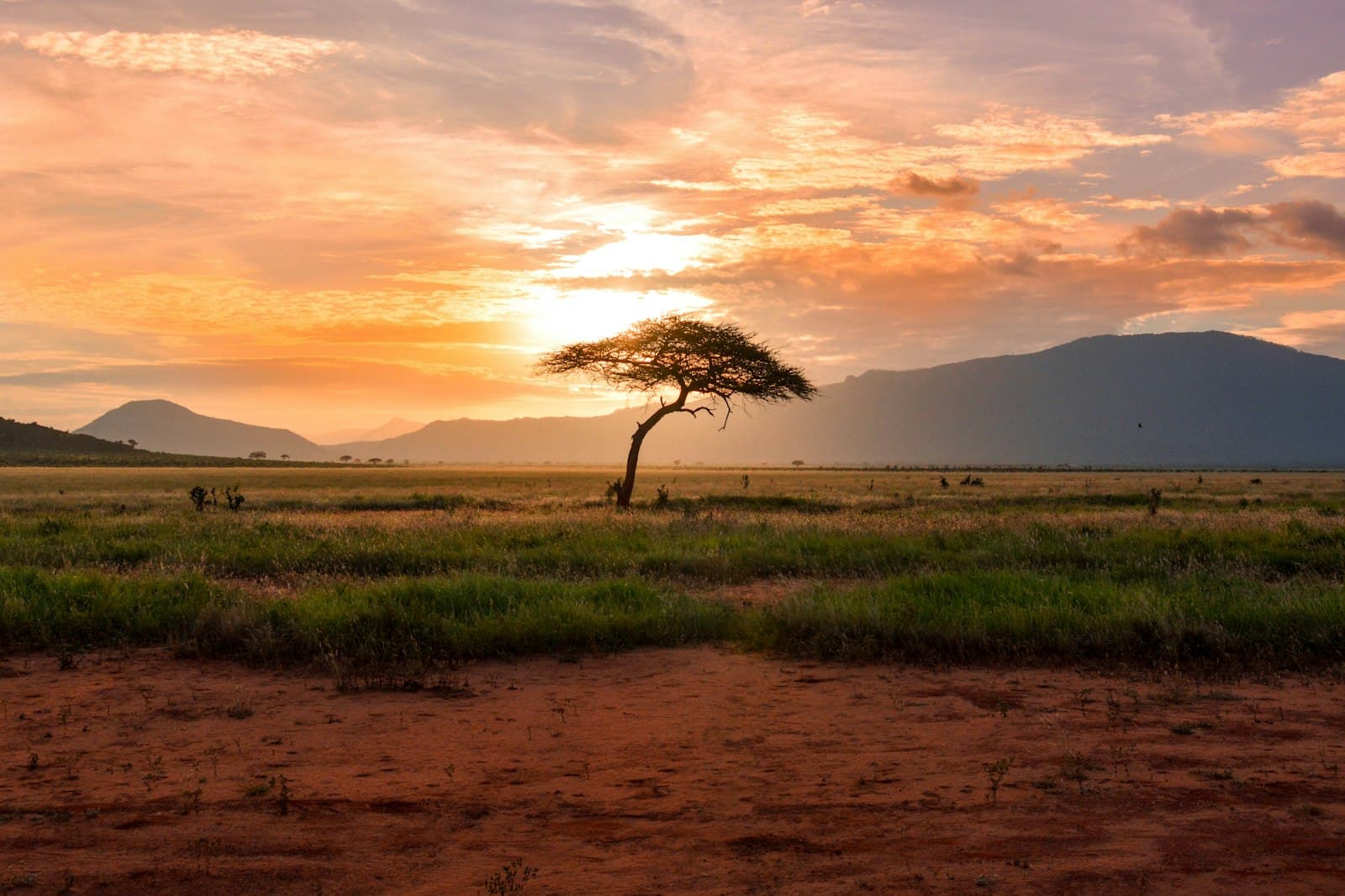 Etosha landscape